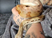 Hypo pastel poss jungle common boa