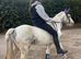 Super safe family friend / show pony