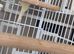 3 Bonded pairs of budgies +cages