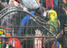 Supar tame African Glasgow