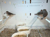 Young zebra finches