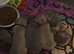 The 3 cutest frenchie pups you'll ever meet. Montlhy payplan option
