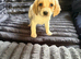 Adorable cocker spaniel puppies for sale