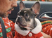 Nyla needs a new home