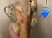 Pure Bred French Lops