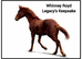 Top Heavyweight Hunter Yearling Filly