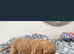 Cockapoo puppies for sale