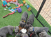 READY THIS WEEK! KC French Bulldog Puppies from health tested lines