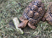 Male Leopard tortoises  8 years old.