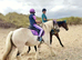 Dun and white mare 14.2 5yo