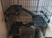 Animal cage