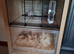 Gerbils for sal