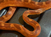 Diffused blood red pied corn snake