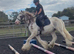 Ultimate unflappable cob