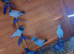 Pigoens for sale in Dunstable