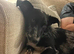 Beautiful little pixel needs a home