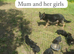 Pure bred German shepherd puppies