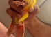 Silly tamed and super friendly 10 weeks old conures