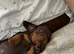 Puppy’s