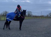 BRITISH RIDING PONY
