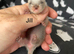 Litter of kits