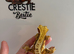 stunning female crested gecko