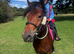 Super kids pony