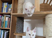 Three beautiful Maine Coon kittens