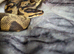 Royal pythons