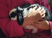 Neutered male Rabbit ready to bond
