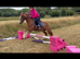 *** MOTHERS DREAM PONY ***
