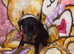 Beautiful mini pinscher