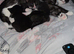 2 male kittens