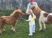 Mother & baby Shetland pony gentle any child can ride