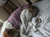 Elderly lurcher Patch looking to spend his final days somewhere understanding and peaceful