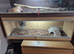 48ins vivarium