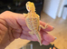 Baby bearded dragons