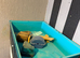 3 hamster cages and accessories