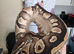 Various Morphs Of Royal Pythons