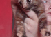 Readynfor forever home