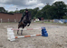 Tia 15.2 TB Mare 11yrs happy hack mother daughter share jumper
