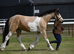 Striking boy oozing potential CHAPS registered