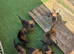 Working line German shepherd puppies