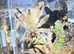 ️ COMPLETE TARANTULA COLLECTION FOR SALE – SPIDER WALL ️
