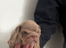 English bulldog puppy waiting list