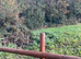 Grazing available in a few weeks