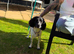 Simba 1 year old Male cocker Spaniel