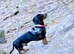Beautiful male Dachshund