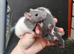 Trio friendly boys