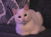 New home needed asap